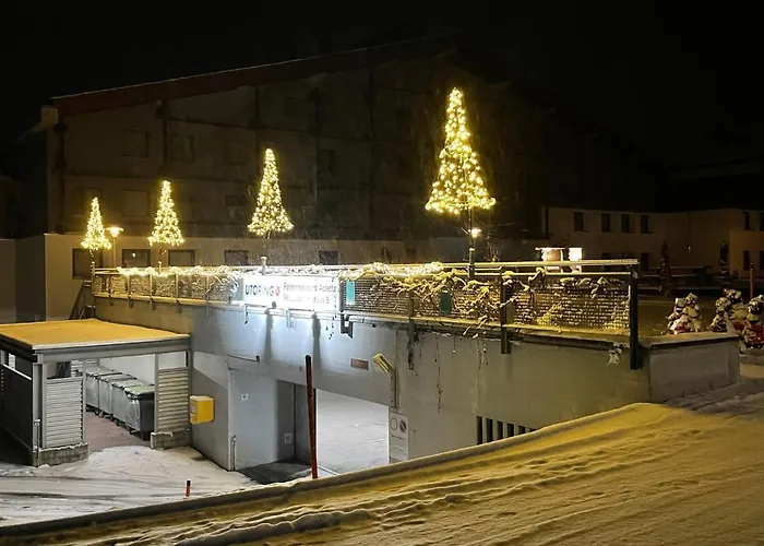 C 015 By Interhome * Disentis