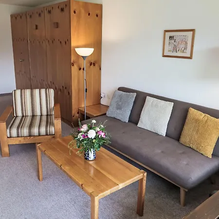 C 015 By Interhome * Disentis